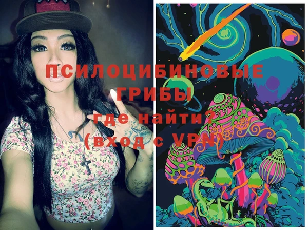 spice Вязники