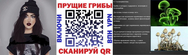 Псилоцибиновые грибы GOLDEN TEACHER  Купить  Судак 